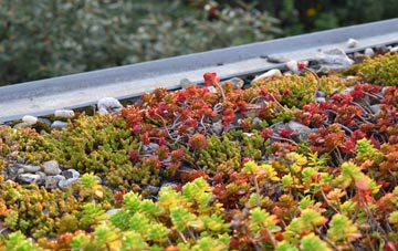 the cost of Oldland green roof installation