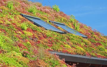 Oldland living roof systems