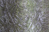 Oldland fibreglass roof work